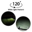 5" Flush Mount LED Scene Light