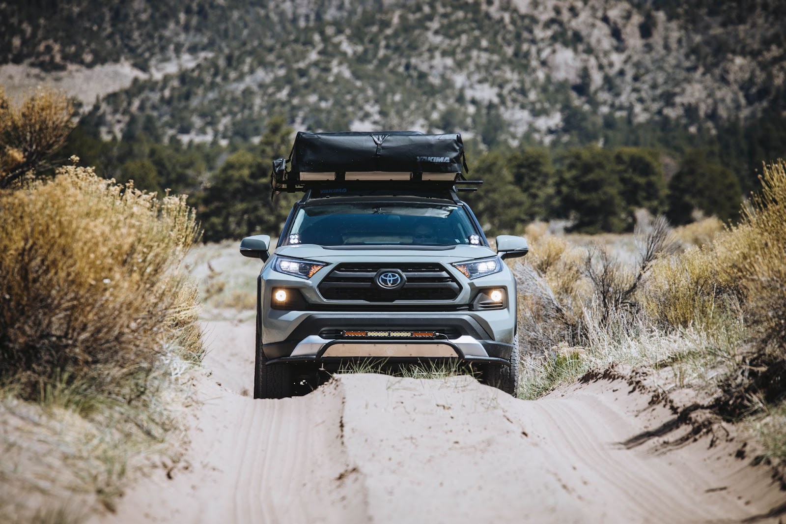 Summer Trails with Extreme LED