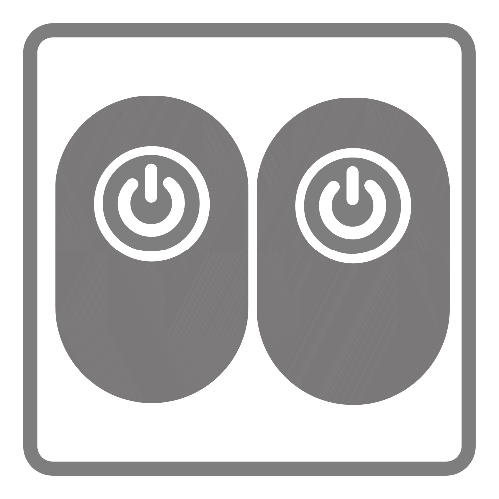 2 Switches Included Icon